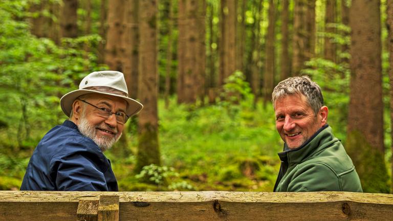 Zwei Männer auf Bank im Wald