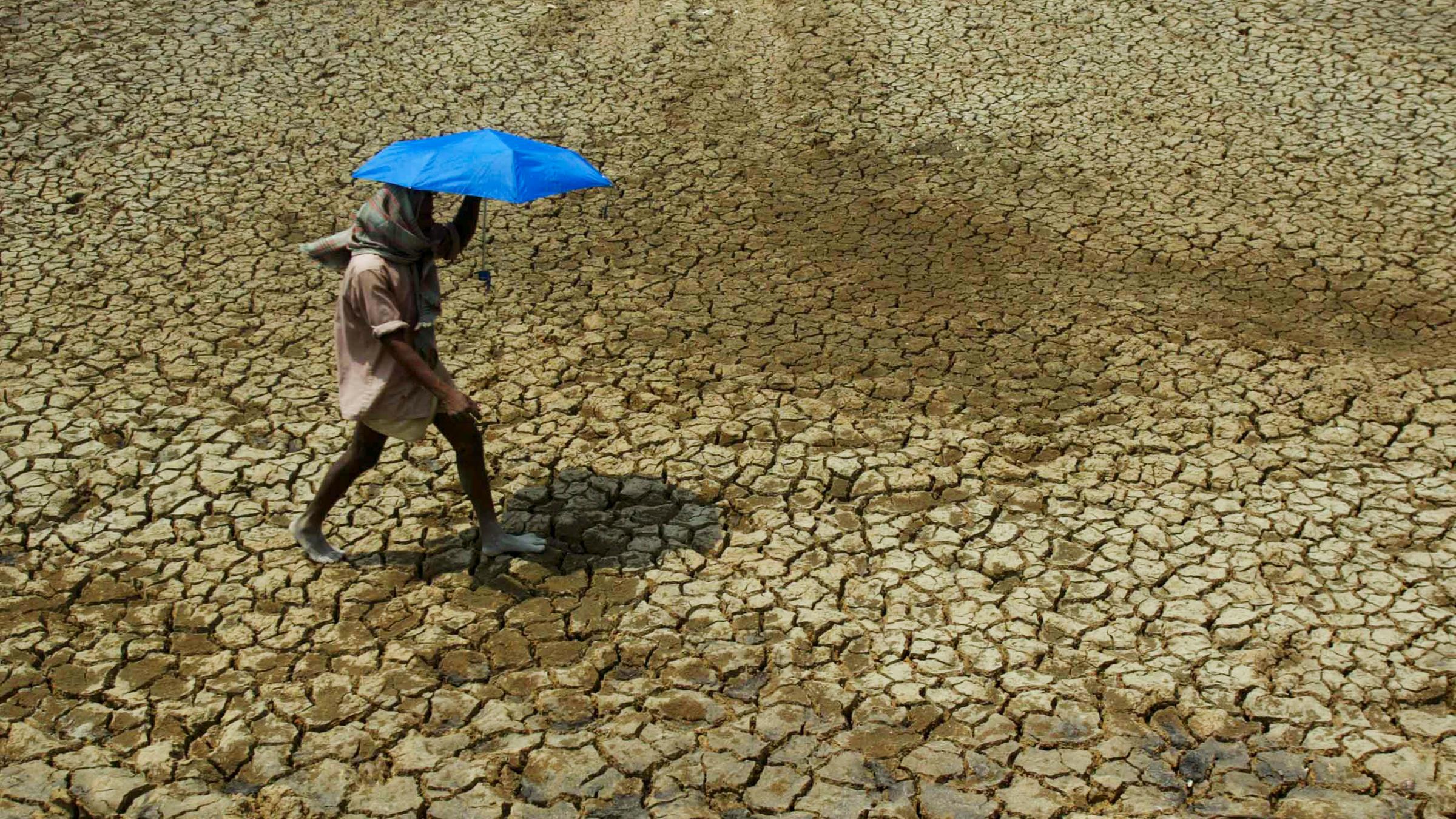 Dunkelhäutiger mit blauem Regenschirm geht über ausgetrockenen Boden