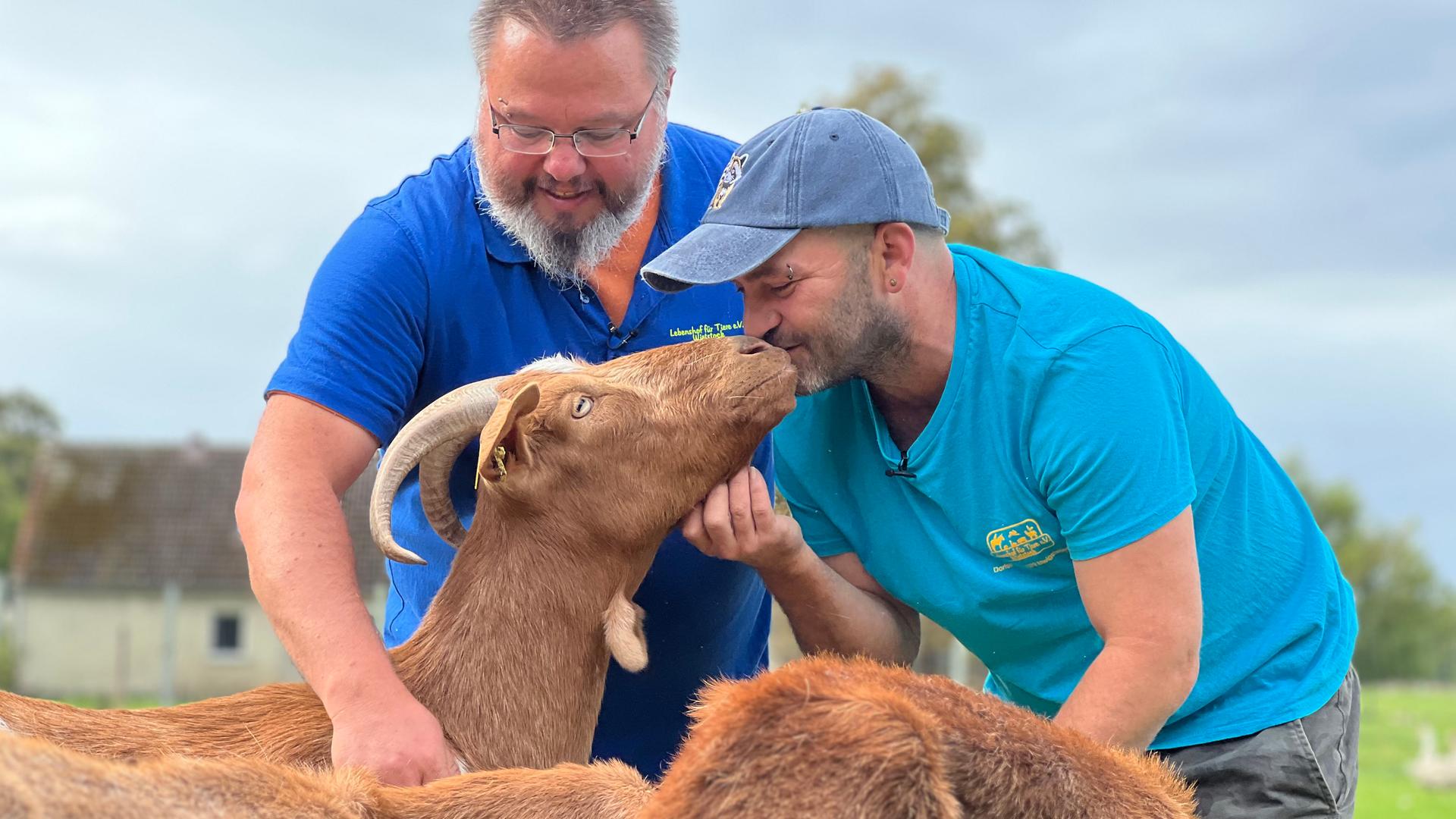 Peter und Daniel Rotter tragen die blauen T-Shirts mit dem Logo des Lebenshofs. Daniel küsst eine braune Ziege und Peter streichelt sie.