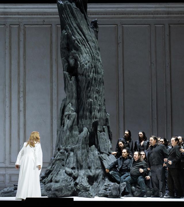 Eine dunkel gekleidetet Menschenmenge steht einer Frau im weissen Kleid gegenüber