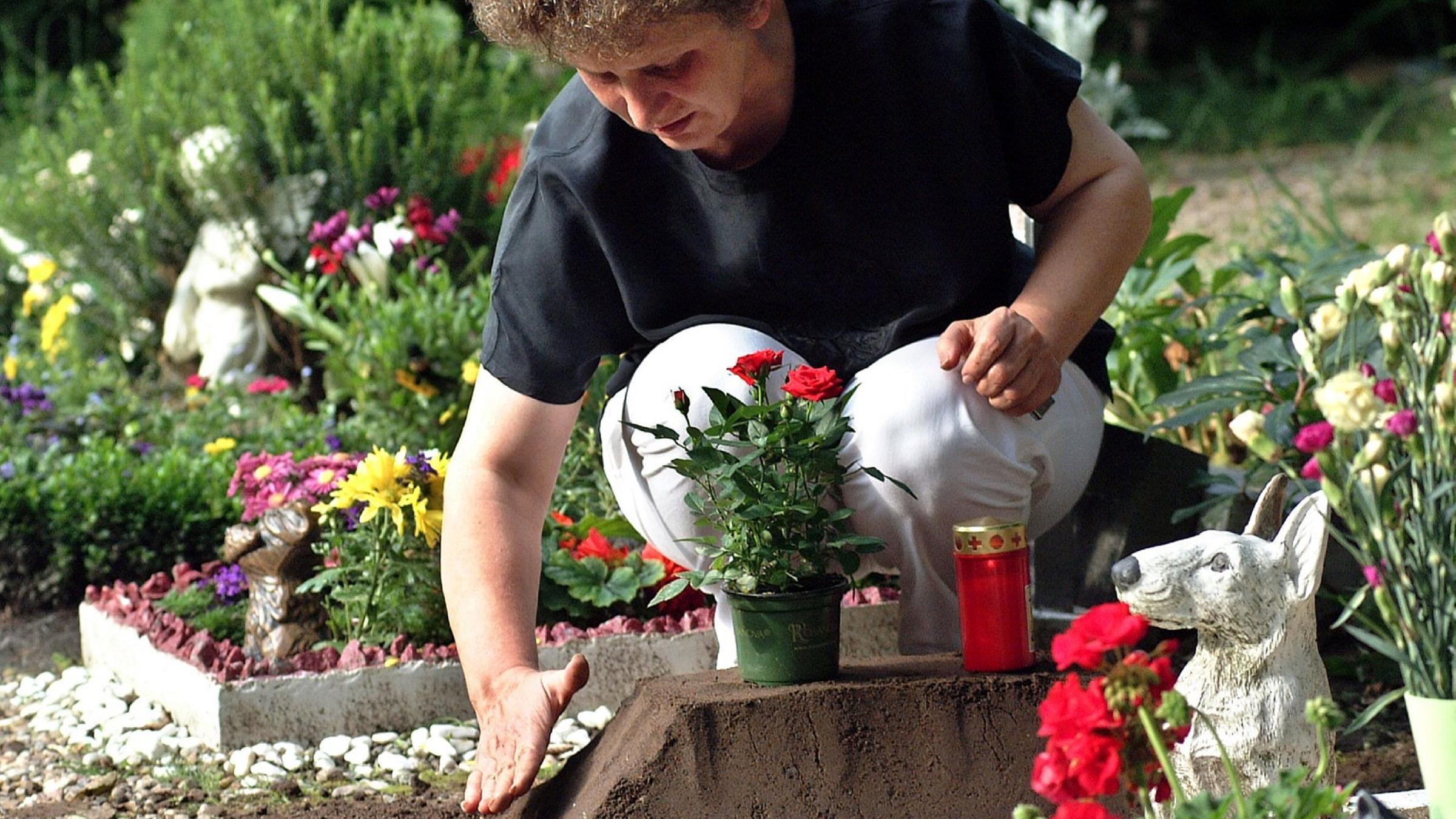 Tierfriedhof Adendorf Friedhof – FCQXB
