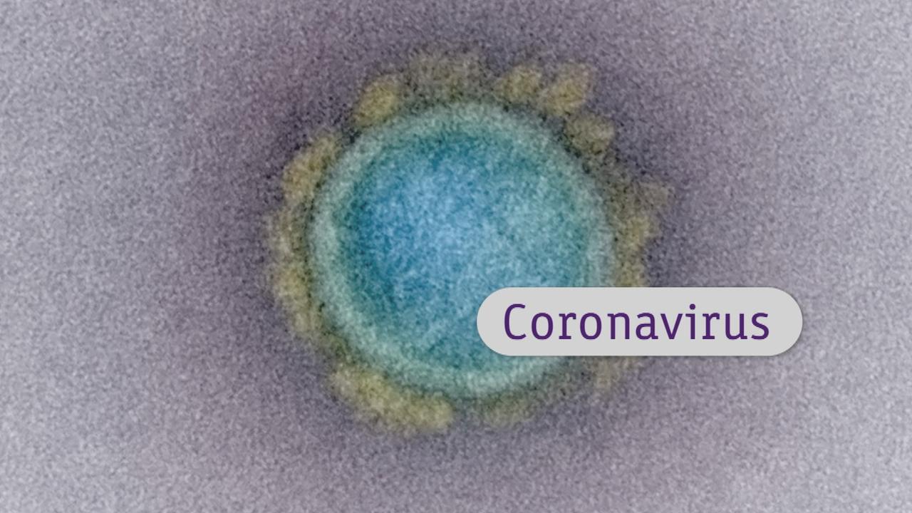 grafik-coronavirus-100~1280x720?cb=15833