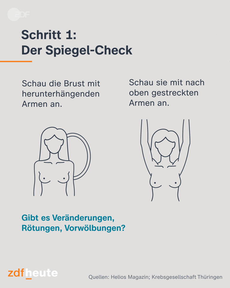 Grafik: Der Spiegel-Check