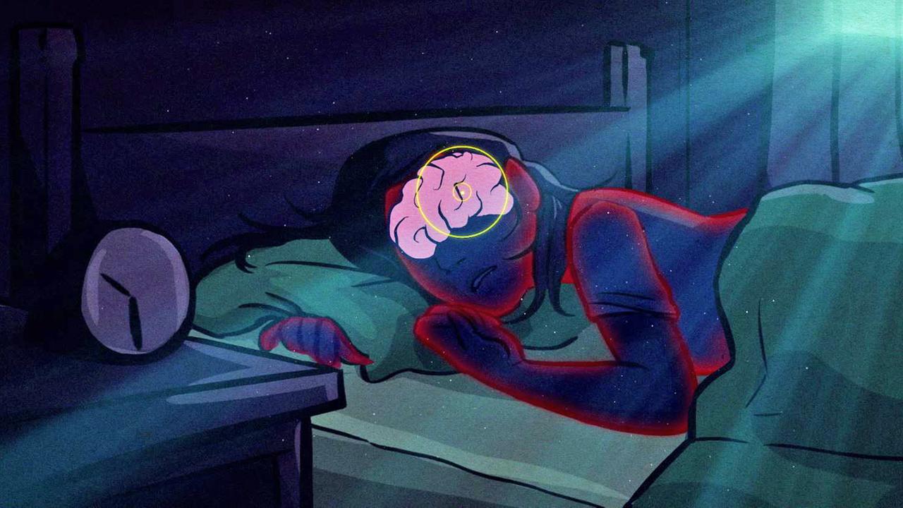 Grafik:  Gehirnfunktion von schlafender Frau