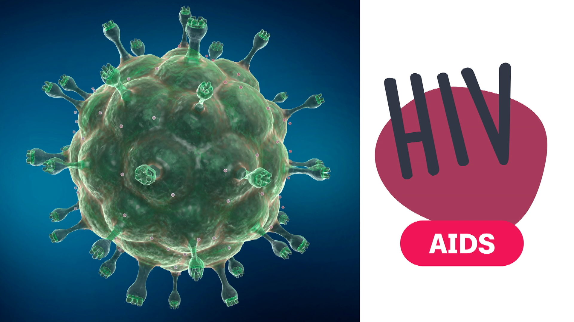 Bild für Die Geschichte der Krankheit AIDS