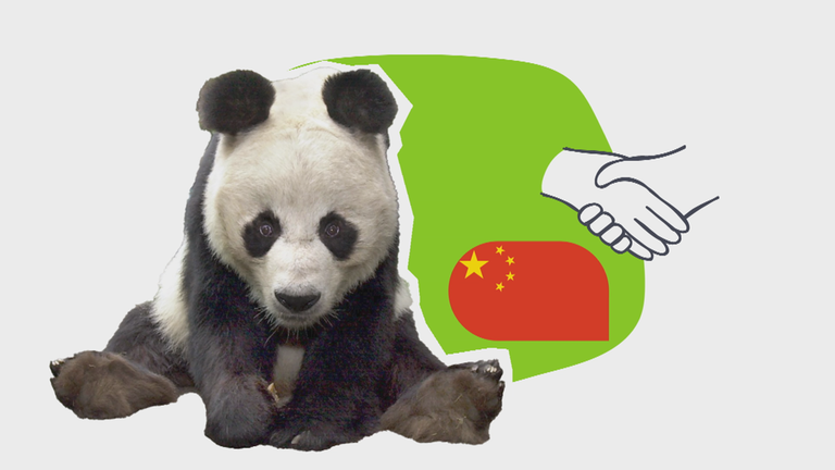 Politik mit Pandas 