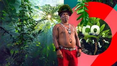 Indigene gegen Greenwashing