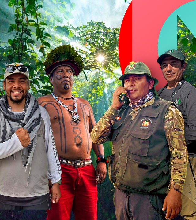 Vier Protagonisten der Staffel vor einem Bild des Regenwaldes