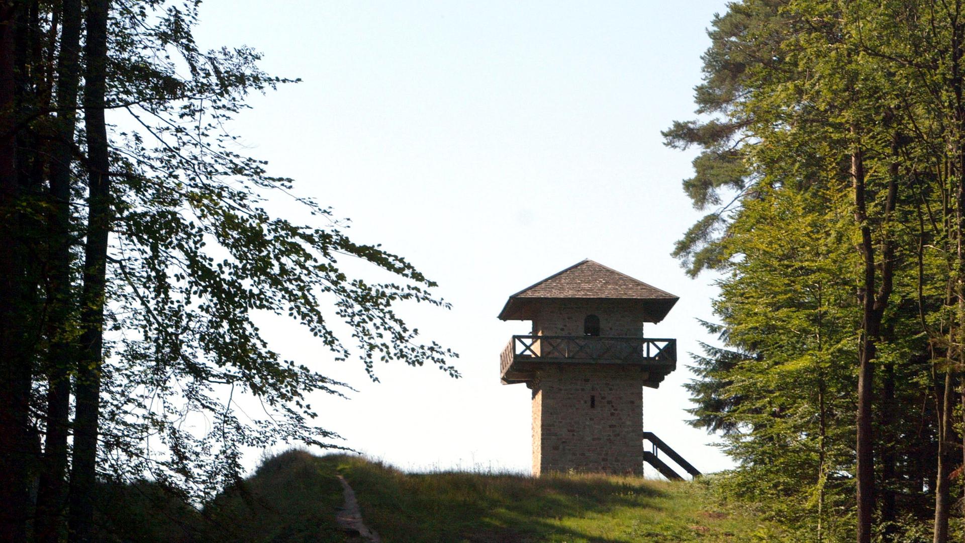Ein Turm steht hinter einer leichten Anhöhe im Wald.