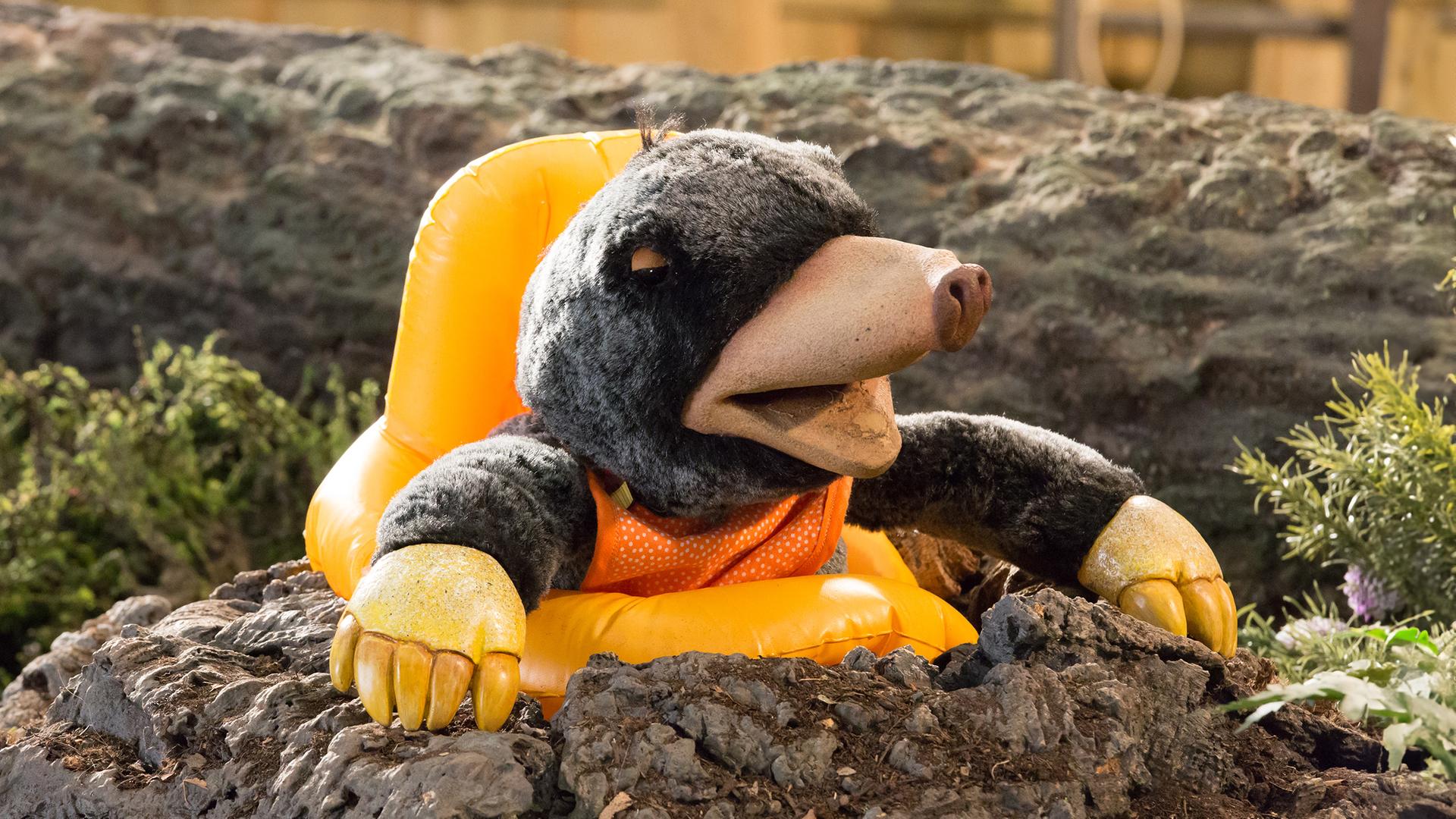 Hase Otto, Eichhörnchen Ella und Rabe Rudi sind am Möhrenbeet. 