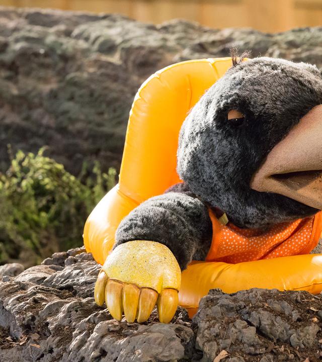 Hase Otto, Eichhörnchen Ella und Rabe Rudi sind am Möhrenbeet. 