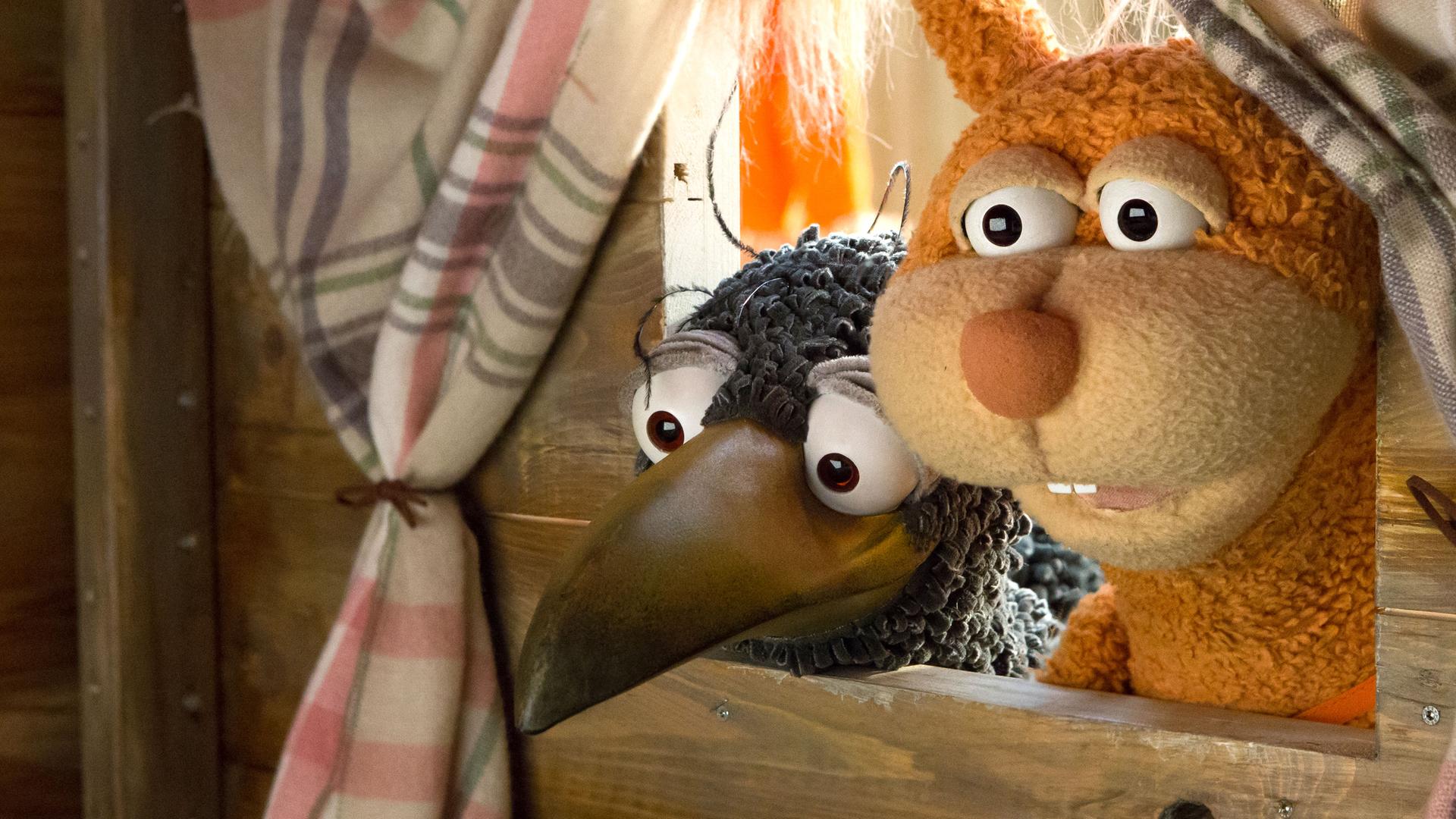 Rudi und Ella schauen neugierig durch das Fenster in die Hundehütte hinein.