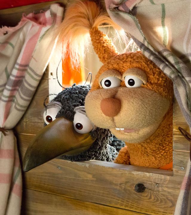 Rudi und Ella schauen neugierig durch das Fenster in die Hundehütte hinein.