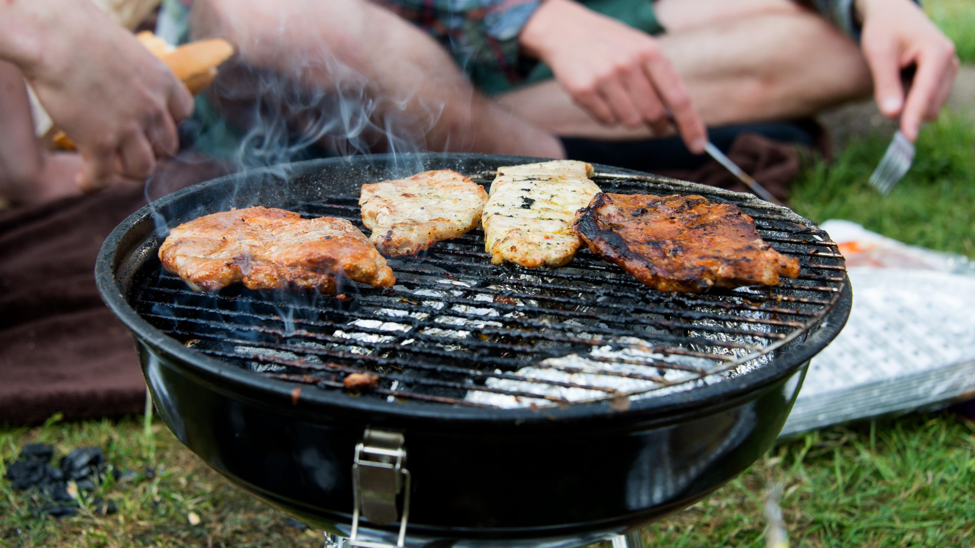 Das Bild zeigt Menschen, die in einem Park auf einem Grill Fleisch zubereiten