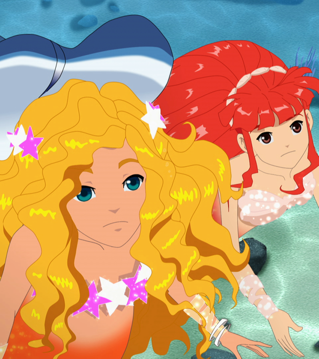 Hai Burkard, Emma und Rikki schauen hoch zur Meeresoberfläche.