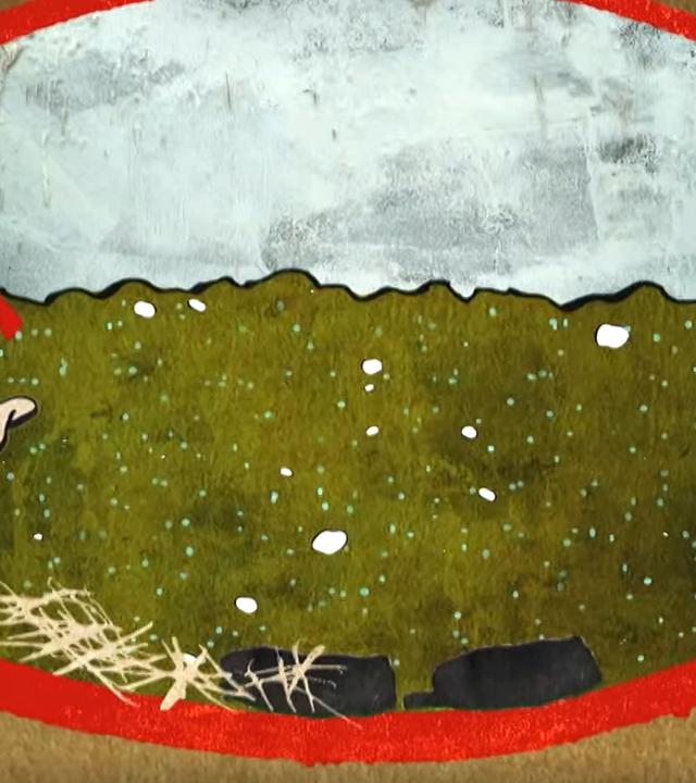 Animation: Biogasanlage