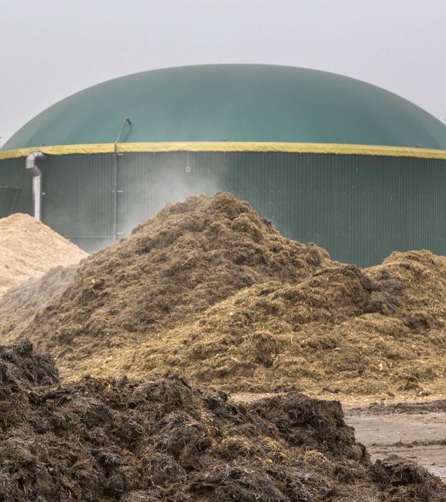 Biogasanlage des Rhinmilchverbundes in Hakenberg bei Fehrbellin mit Dung- und Futterrestehaufen zur Einspeisung in die Anlage