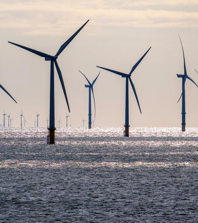 Windräder im Meer