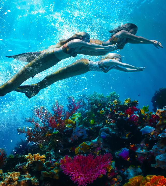 H2O - Plötzlich Meerjungfrau