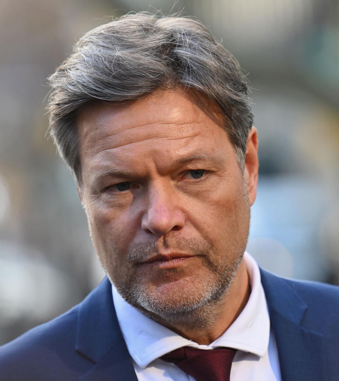 Vizekanzler Robert Habeck