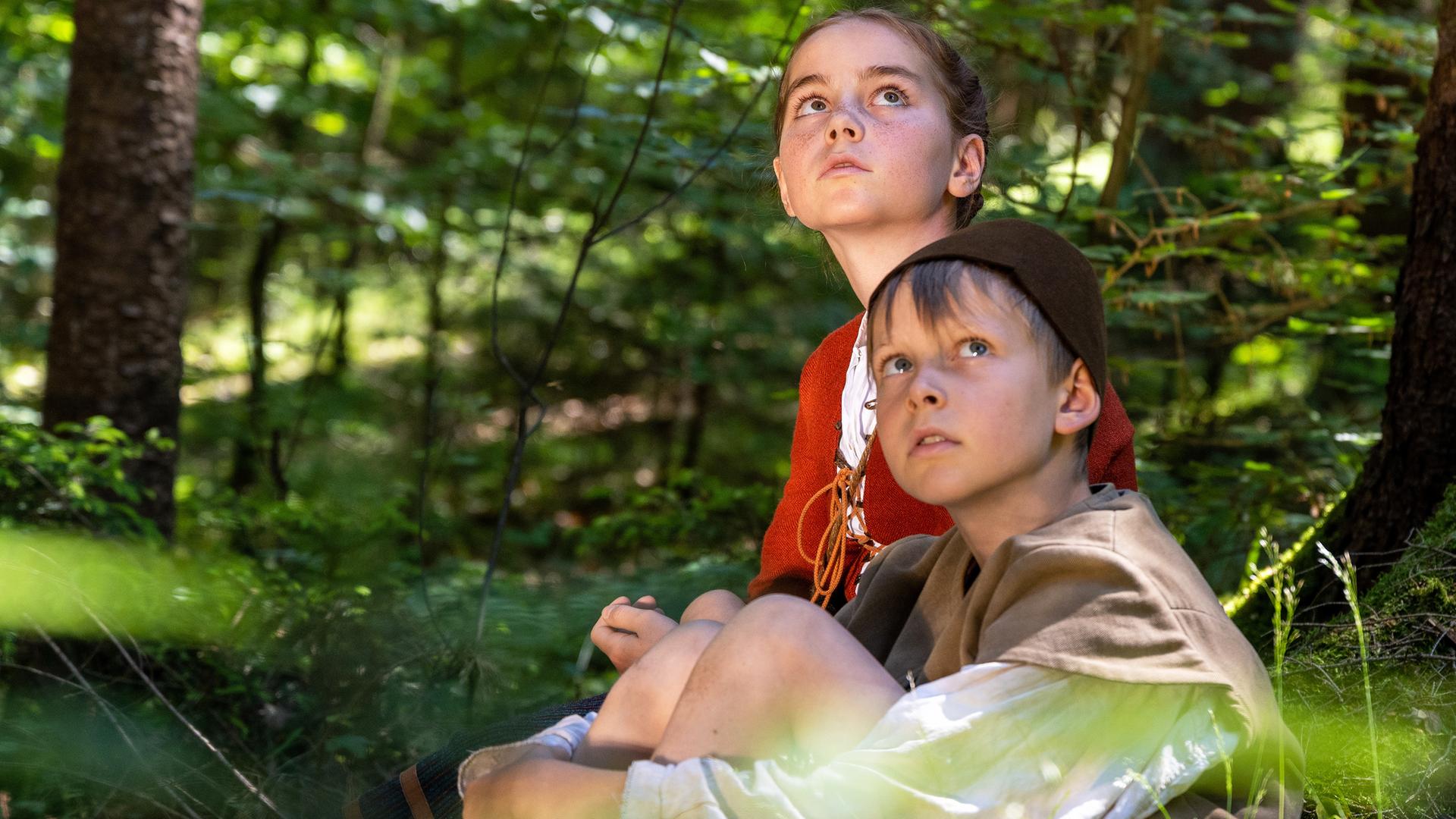 Hänsel und Gretel sitzen im Wald und schauen verängstigt nach oben.