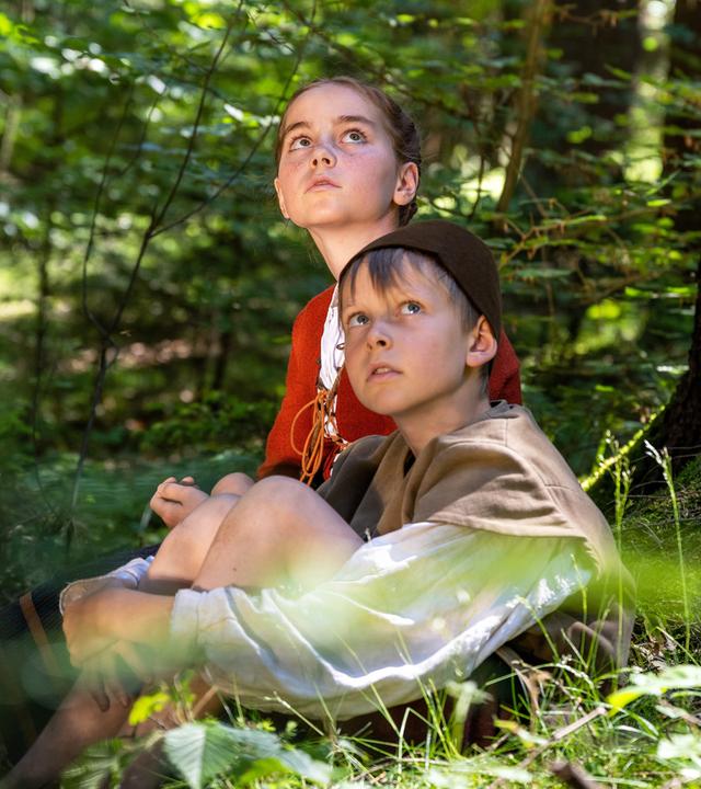Hänsel und Gretel sitzen im Wald und schauen verängstigt nach oben.