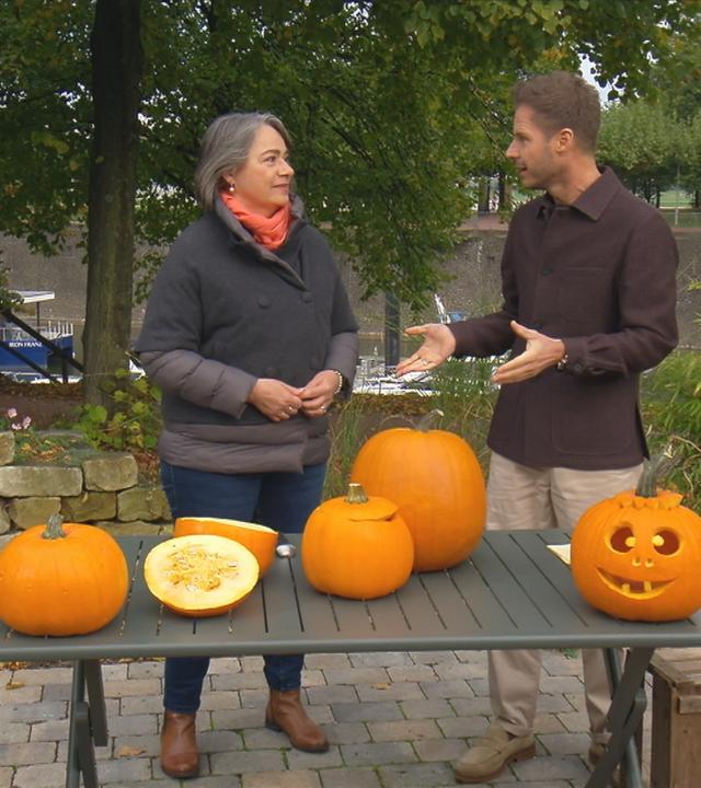 Halloween-Kürbis schnitzen