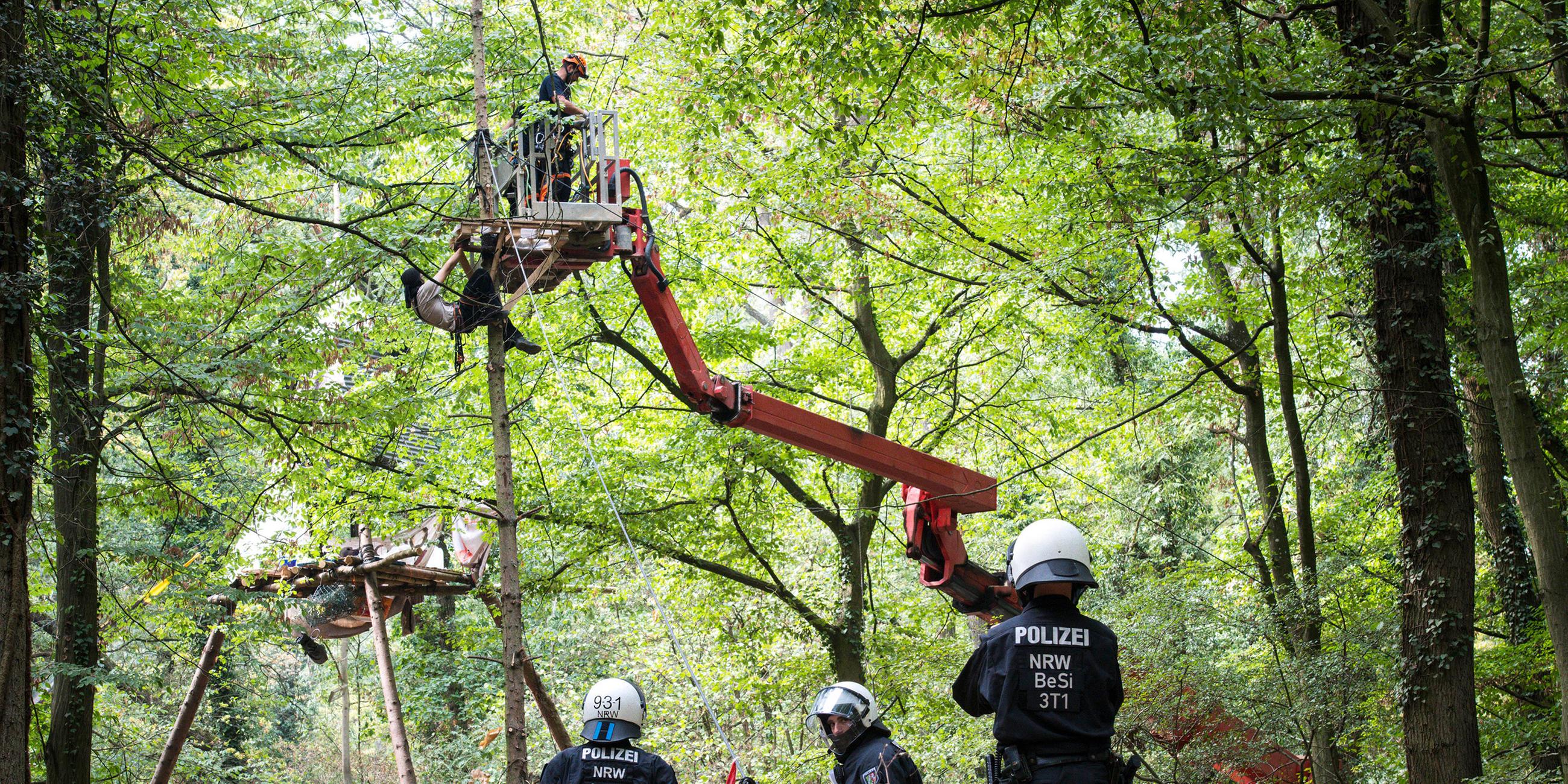 Polizisten und Aktivisten im Hambacher Forst