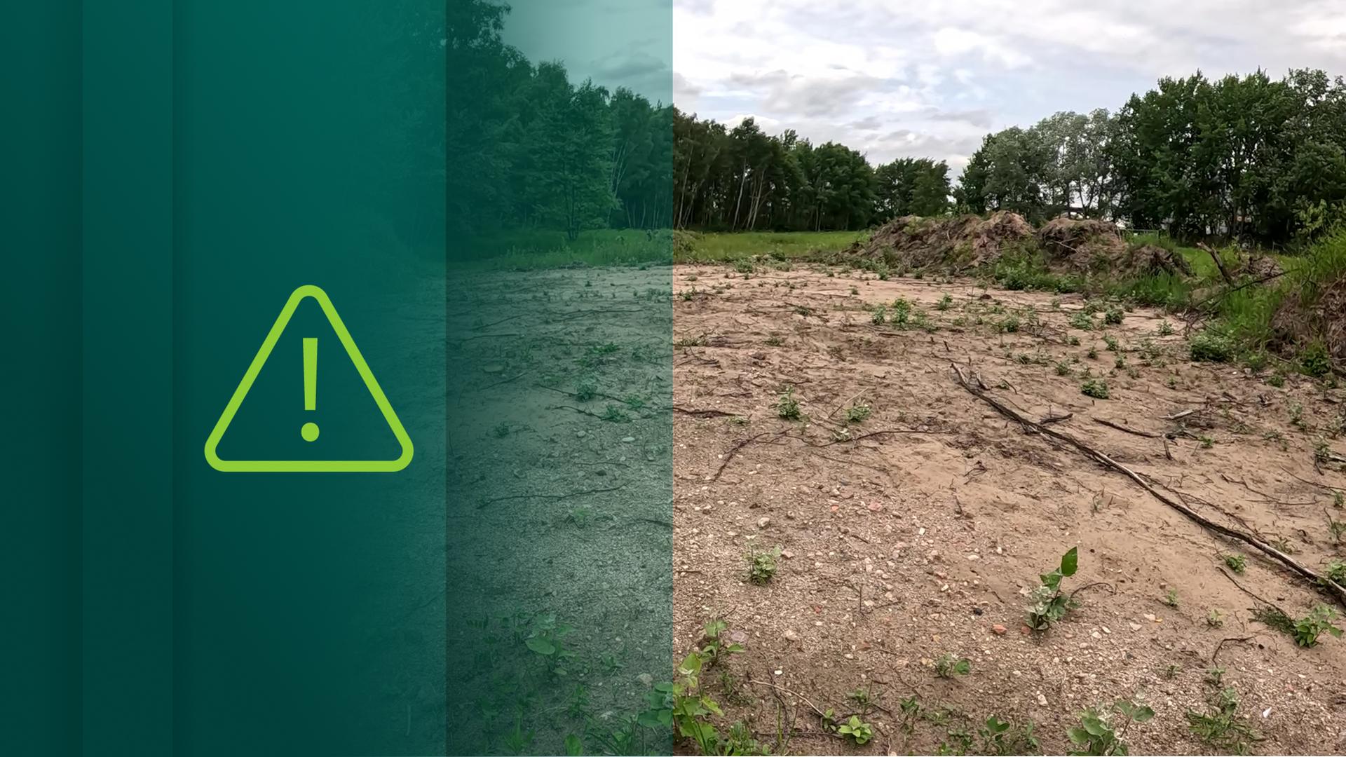 Hammer der Woche Naturschutzgebiet in Hamburg