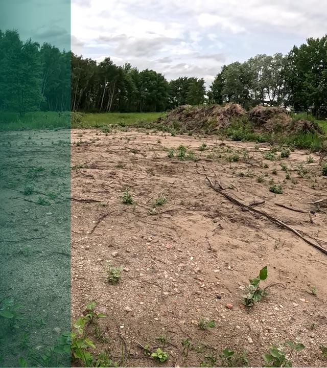 Hammer der Woche Naturschutzgebiet in Hamburg