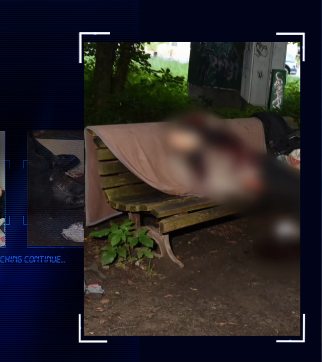 Bild aus der Polizeiakte zeigt eine Parkbank aus Holz. Auf der Bank liegt eine Wolldecke. Auf der Wolldecke der Oberkörper eines toten Mannes. Der Unterkörper ist nach vorne von der Bank gerutscht. Es sind großflächig Blutspuren zu sehen. Die Leiche selbst und das Umfeld wurden technisch verfremdet. Um die Bank herum ist es begrünt - mit kleinen Ablegern von Sträuchern. Im Hintergrund sind Bäume zu erkennen. Im Hintergrund ist schemenhaft eine Art Häuschen zu sehen, darauf verschiedene Graffiti-Tags. Links daneben: Lichtschematische Darstellung eines Fingerabdrucks.