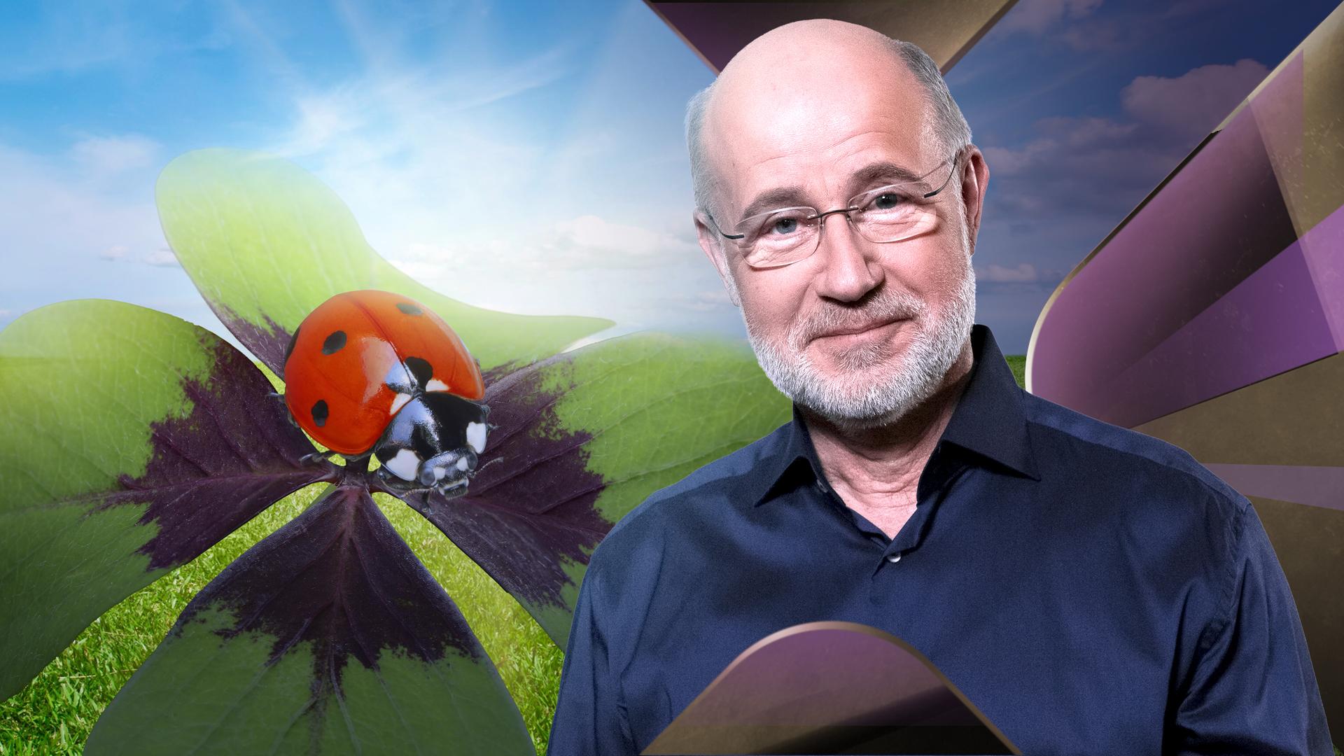 Harald Lesch steht vor Kleeblatt mit Marienkäfer.