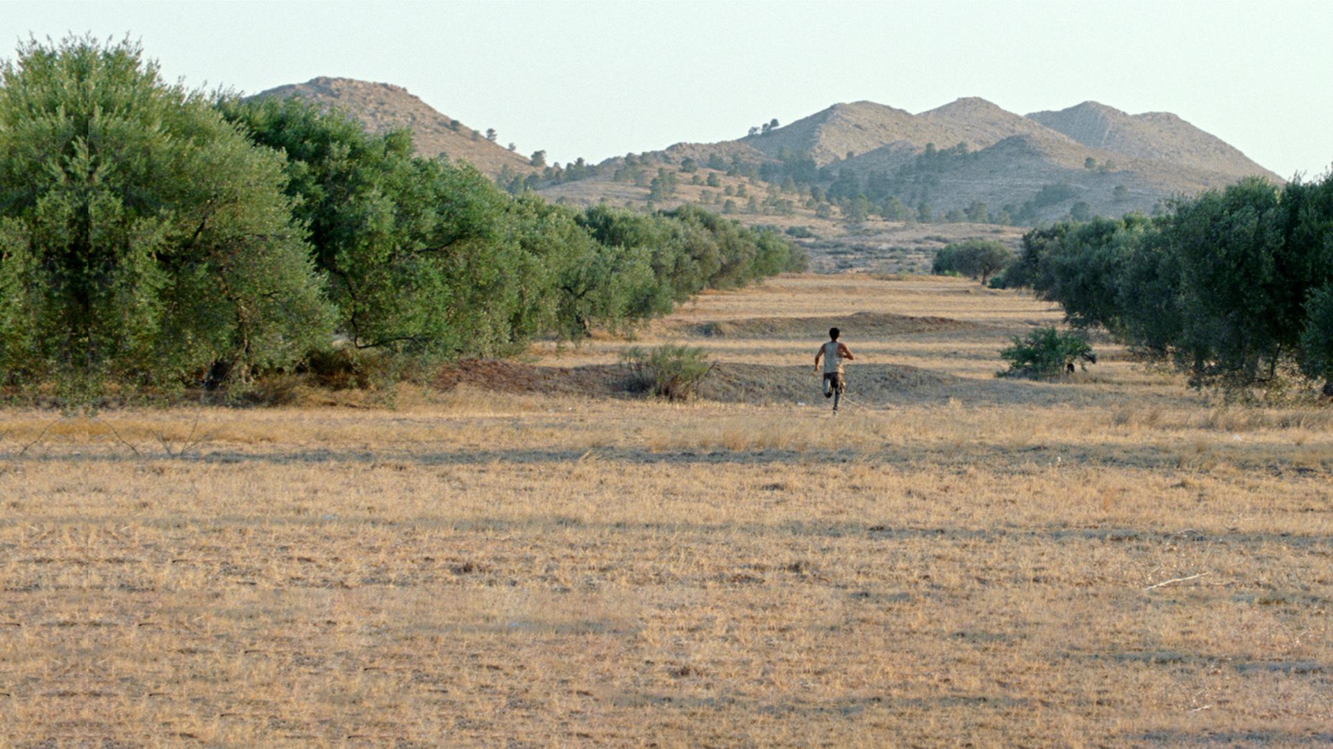 "HARKA-AUFRUHR": In einer Landschaft mit vertrocknetem Gras, Bäumen und Bergen im Hintergrund läuft ein Mann zwischen zwei Baumreihen in Richtung Horizont.