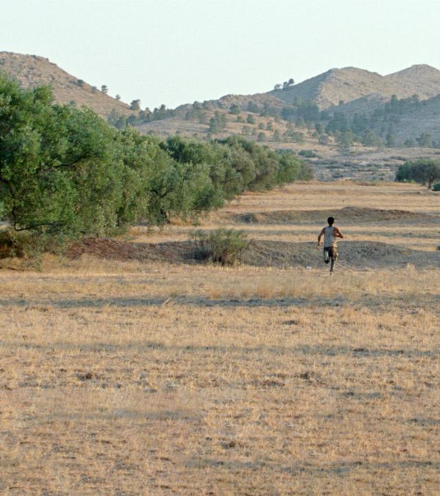 "HARKA-AUFRUHR": In einer Landschaft mit vertrocknetem Gras, Bäumen und Bergen im Hintergrund läuft ein Mann zwischen zwei Baumreihen in Richtung Horizont.