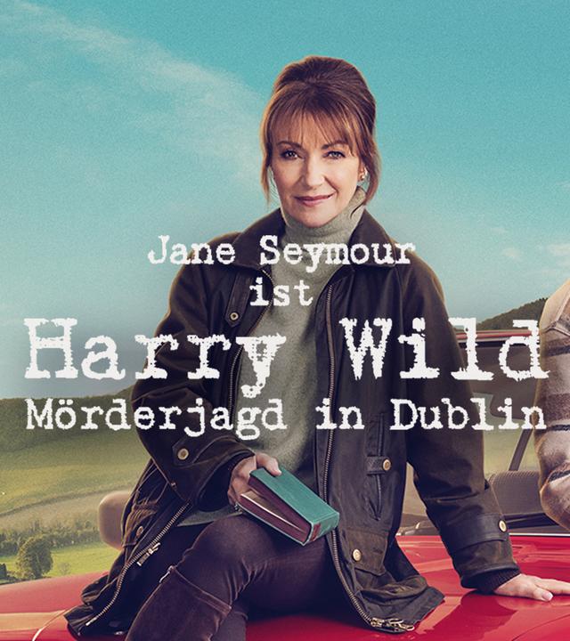 Harry Wild - Mörderjagd in Dublin, Staffel 2