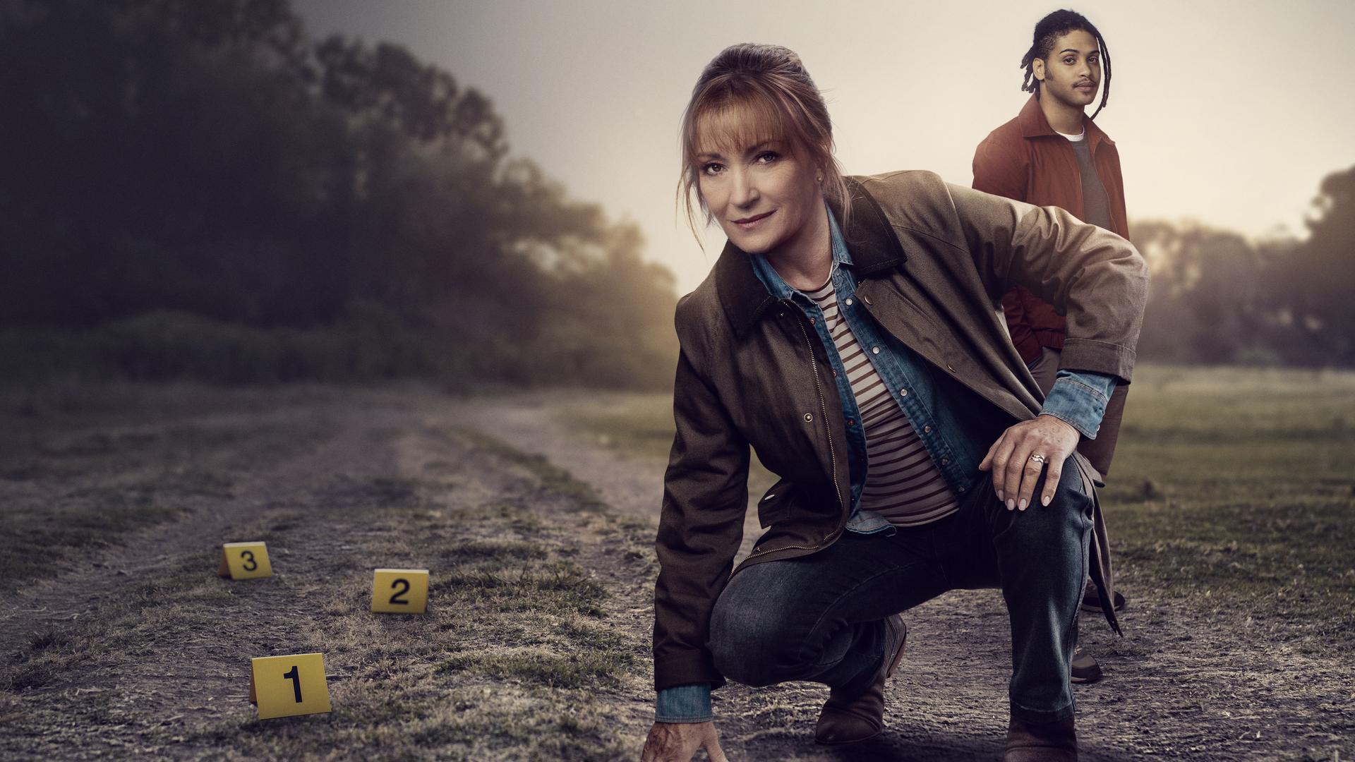 Harry Wild - Mörderjagd in Dublin