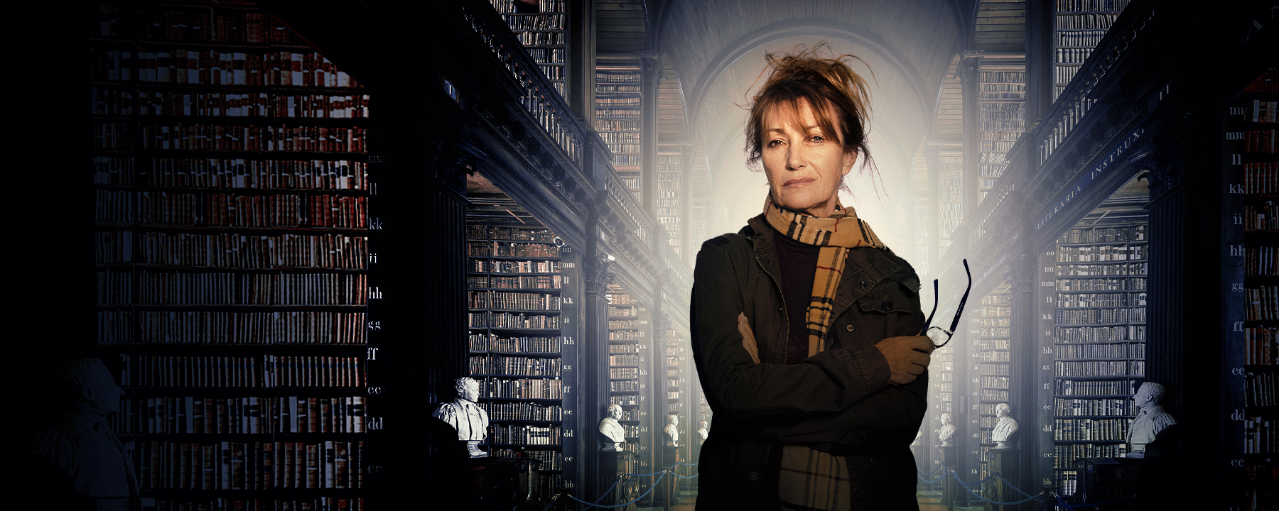 Harry Wild - Mörderjagd in Dublin