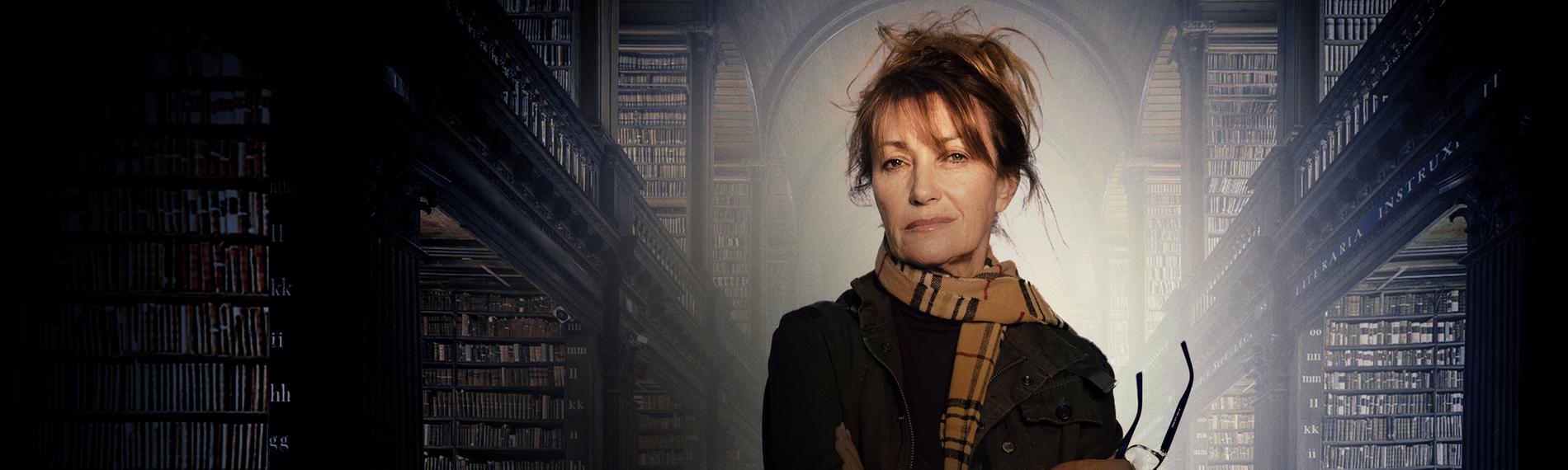 Harry Wild - Mörderjagd in Dublin