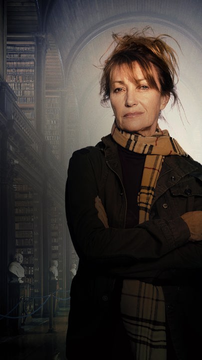 Harry Wild - Mörderjagd in Dublin