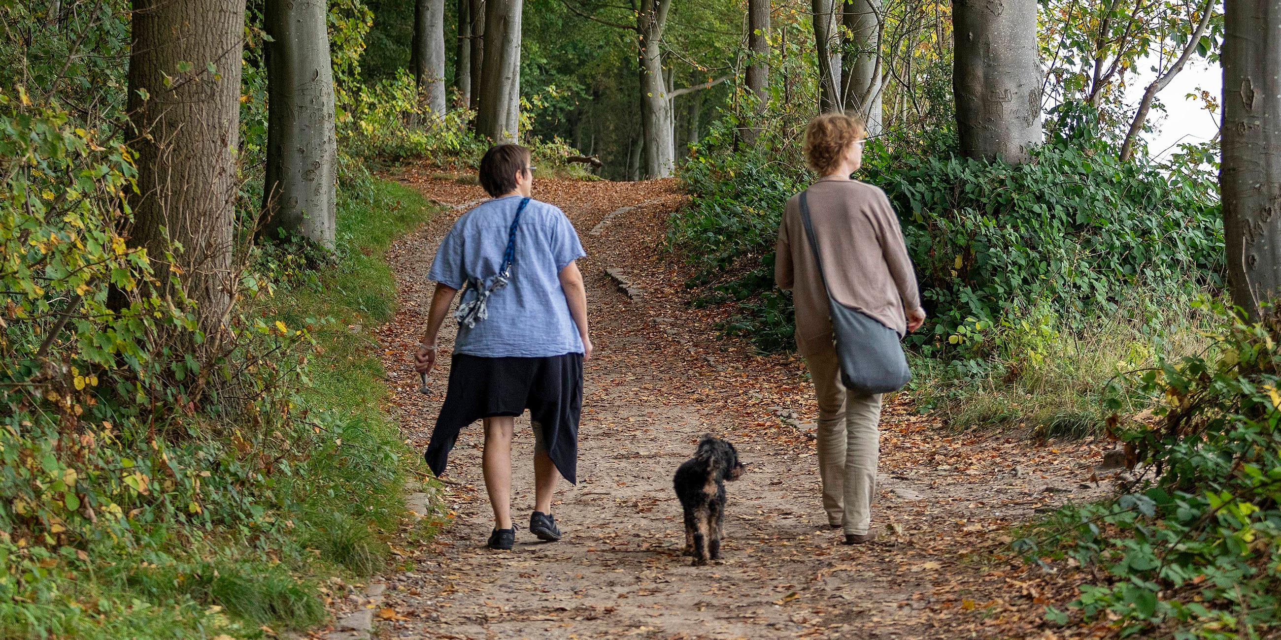 Zwei Frauen spazieren mit ihrem Hund im Wald spazieren