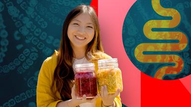 NANO Doku: Fermentieren – Power für einen gesunden Darm