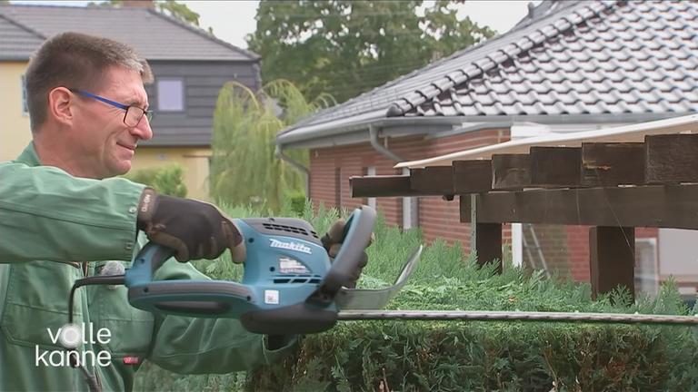 Mann, der eine Hecke schneidet 