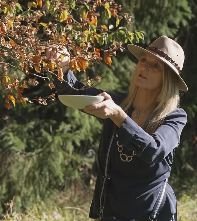 Bucheckern und Eicheln richtig verarbeiten