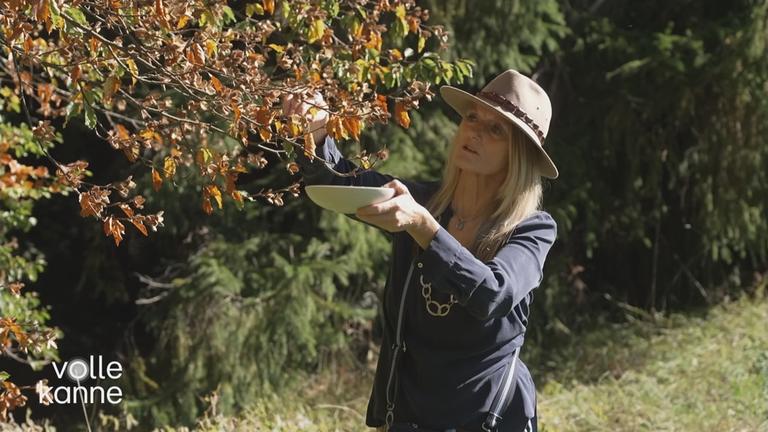 Bucheckern und Eicheln richtig verarbeiten