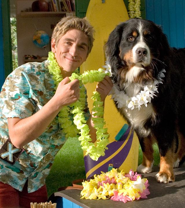 Fritz trägt eine Hawaii-Blumenkette und ist dabei Keks auch eine Kette umzulegen.