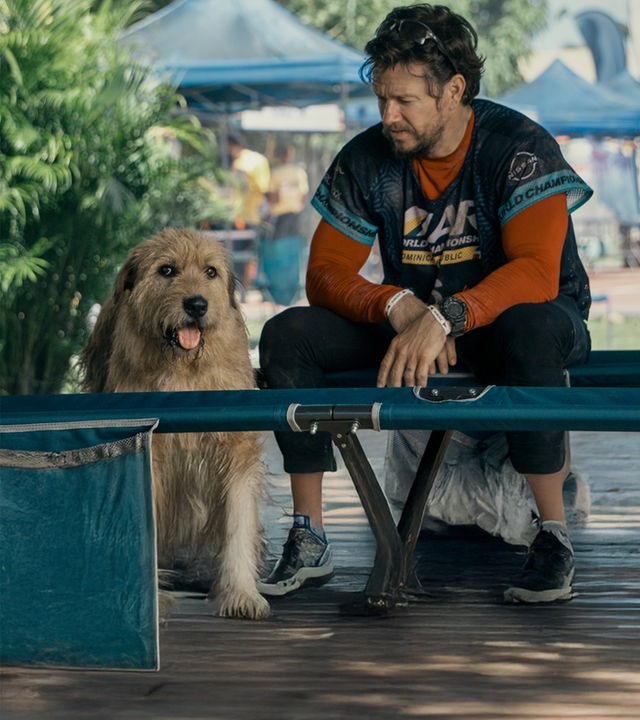 Arthur der Große": Tagsüber stehen große blaue Zelte im Freien. Davor sitzt Michael (Mark Wahlberg) neben dem Mischlingshund Arthur (Ukai), der die Zunge heraushängen lässt und ein zotteliges Fell hat.