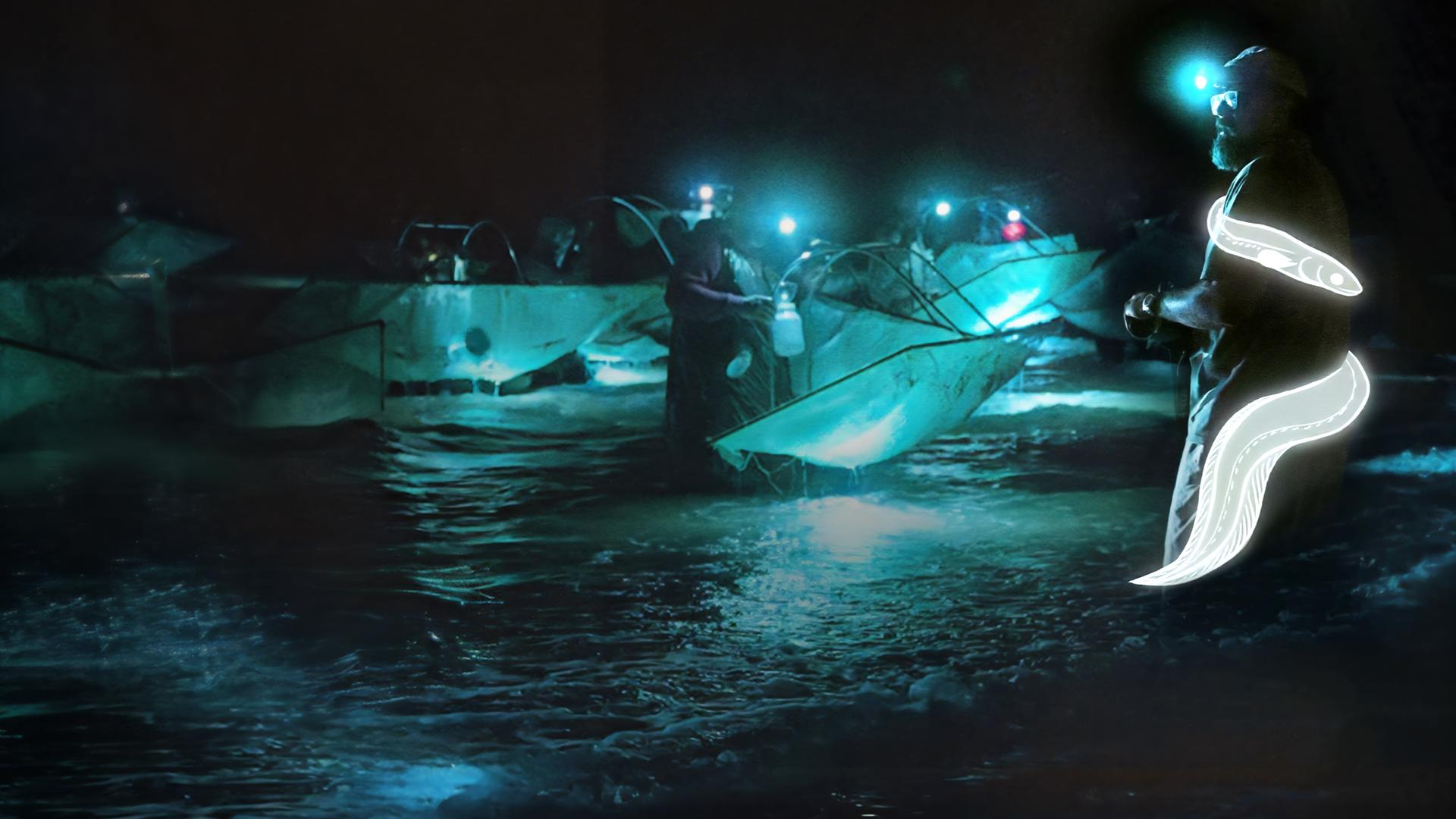 Billion Dollar Babies