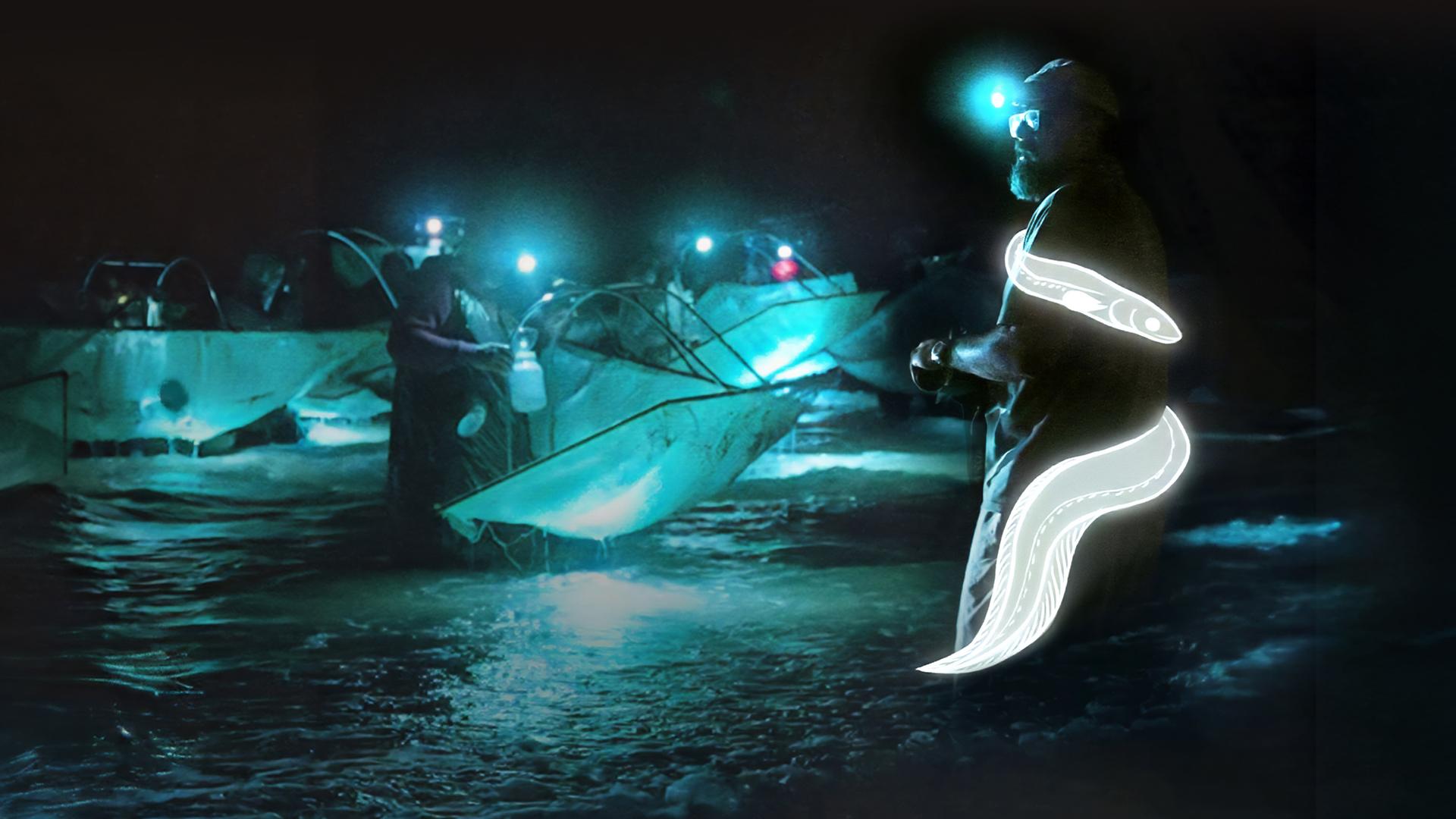 Billion Dollar Babies