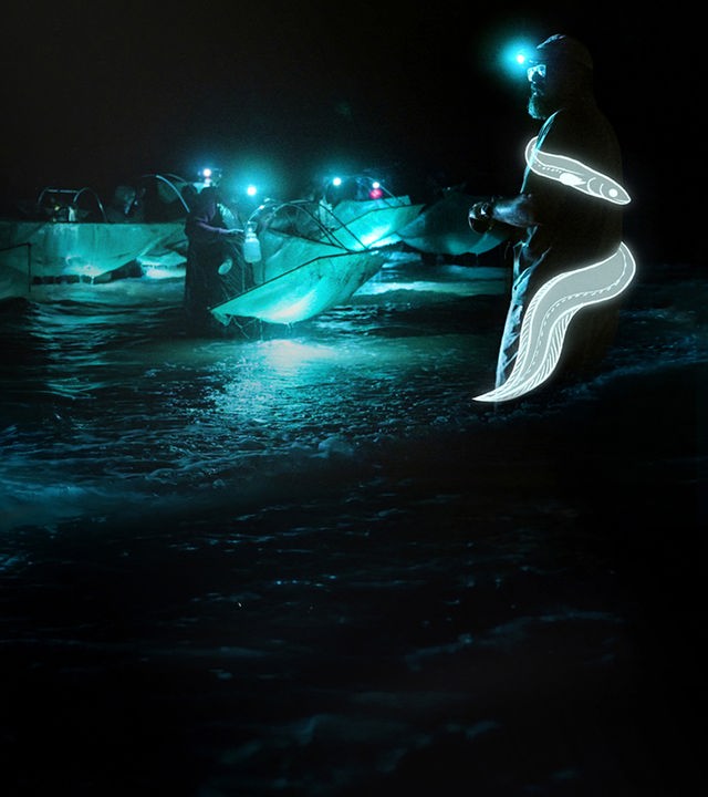 Billion Dollar Babies