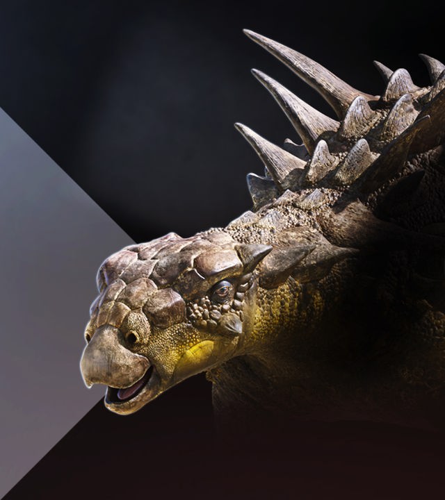 Gastonia George: Rekonstruktion des Dinosauriers im Portrait auf schwarzem Grund